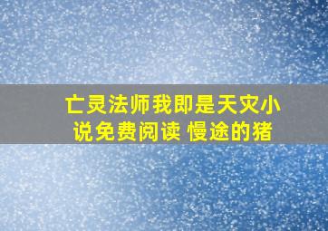 亡灵法师我即是天灾小说免费阅读 慢途的猪